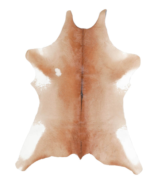 Calfhide #A28836