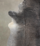 Dark Grey Cowhide Rug #A28979