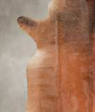 Brown with Red Cowhide Rug #A29090