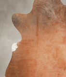 Brown with Red Cowhide Rug #A29113