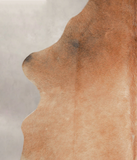 Caramel Cowhide Rug #A29117