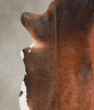 Brown with Red Cowhide Rug #A29152
