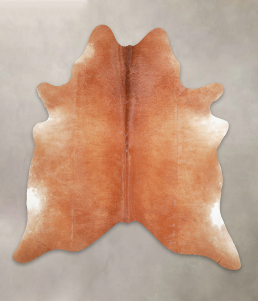 Solid Brown Cowhide Rug #A29289