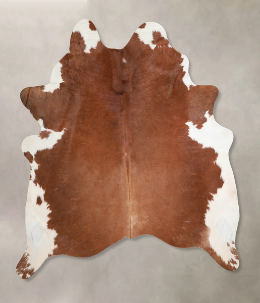 Brown and White Regular Cowhide Rug #A29698