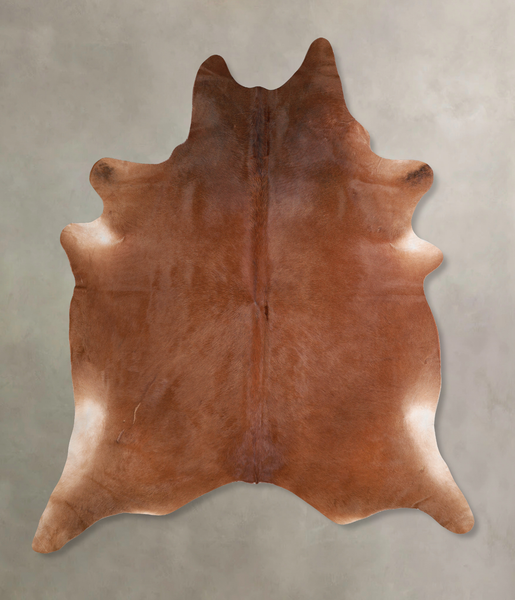 Solid Brown Cowhide Rug #A29897