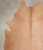 Solid Brown Cowhide Rug #A30084