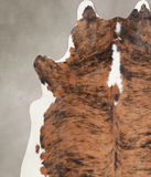 Tricolor Cowhide Rug #A30553