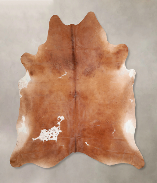 Brown and White Regular Cowhide Rug #A31145