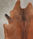 Warm Caramel Cowhide Rug #A31267