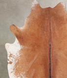 Brown and White Regular Cowhide Rug #A31934