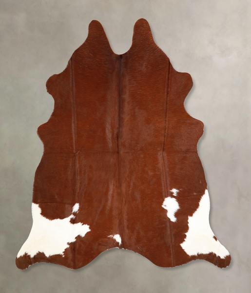 Brown and White Regular Cowhide Rug #A35217HUDSN
