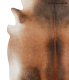 Brown with Red Cowhide Rug #A3734