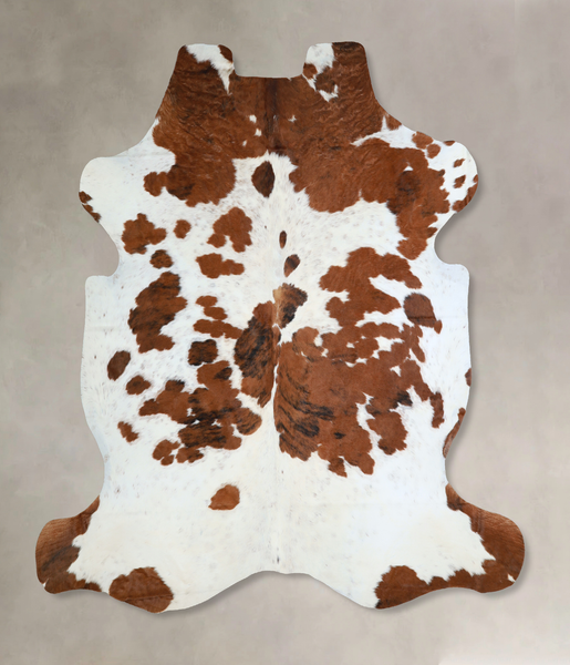 Tricolor Cowhide Rug #A40511