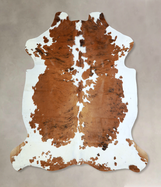 Tricolor Cowhide Rug #A40867