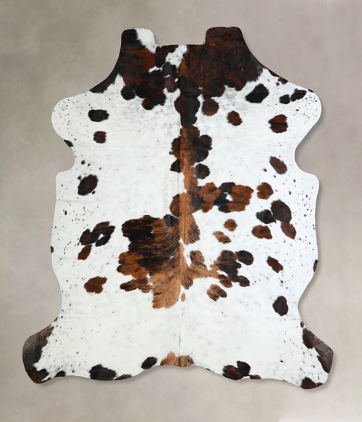Tricolor Cowhide Rug #A40878