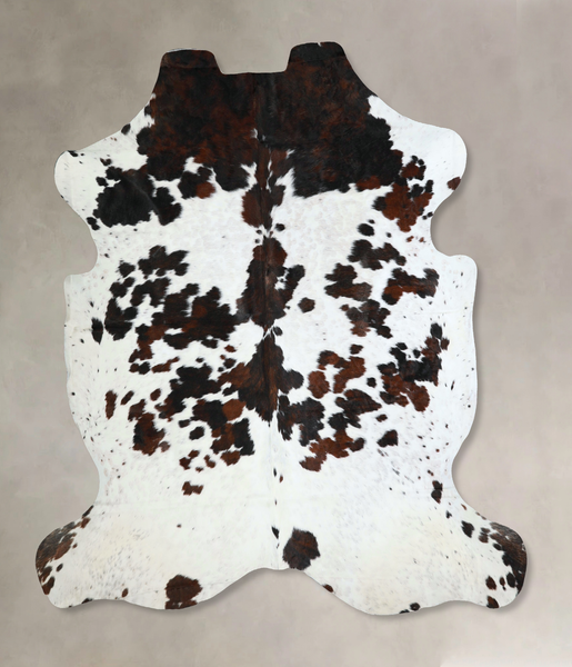 Tricolor Cowhide Rug #A41187