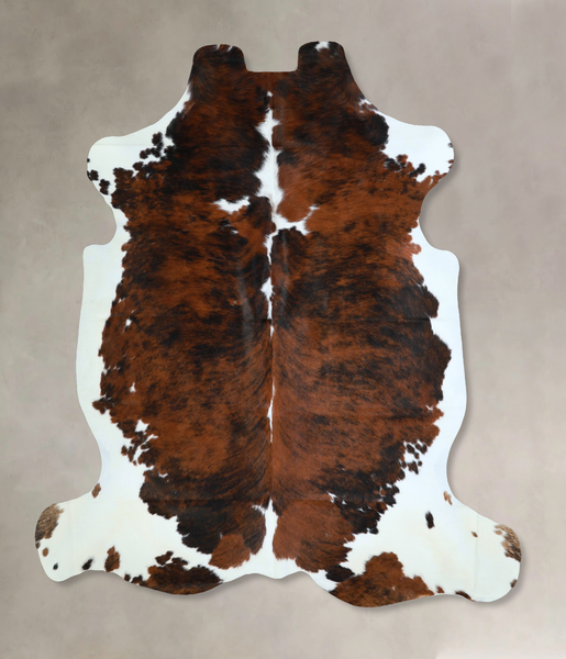 Tricolor Cowhide Rug #A41189