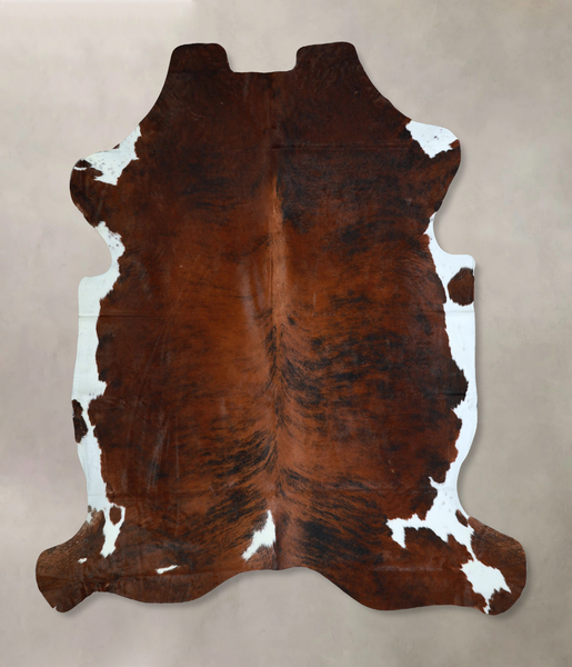 Tricolor Cowhide Rug #A41263