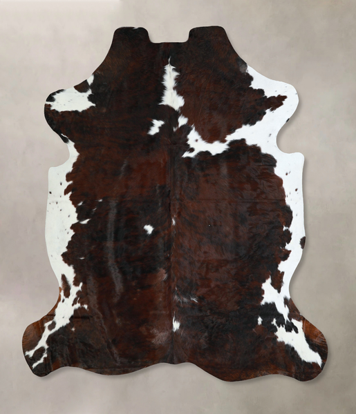 Tricolor Cowhide Rug #A41264
