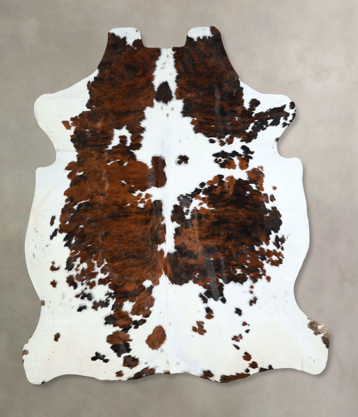 Tricolor Cowhide Rug #A41271