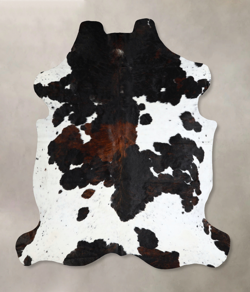 Tricolor Cowhide Rug #A41283
