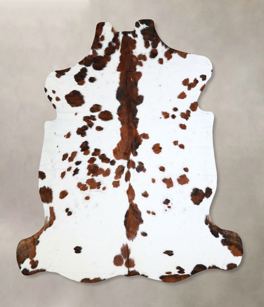 Tricolor Cowhide Rug #A41296