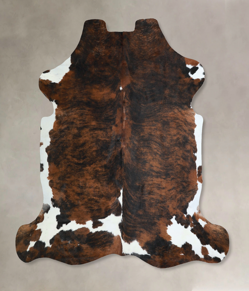 Tricolor Cowhide Rug #A41331