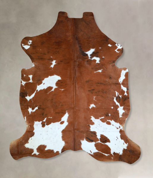 Tricolor Cowhide Rug #A41369