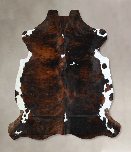 Tricolor Cowhide Rug #A41625