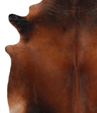 Brown with Red Cowhide Rug #A4195