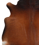 Brown with Red Cowhide Rug #A4281