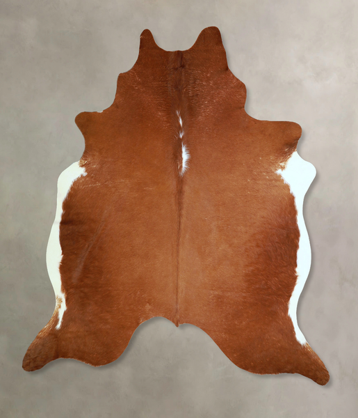 Brown and White Regular Cowhide Rug #A42964