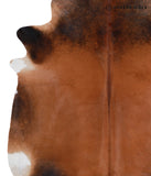 Brown with Red Cowhide Rug #A4331
