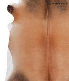 Brown with Red Cowhide Rug #A4472