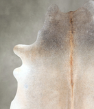 Grey with Beige Cowhide Rug #A48338