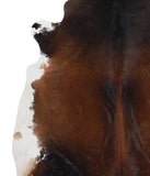 Brown with Red Cowhide Rug #A4925