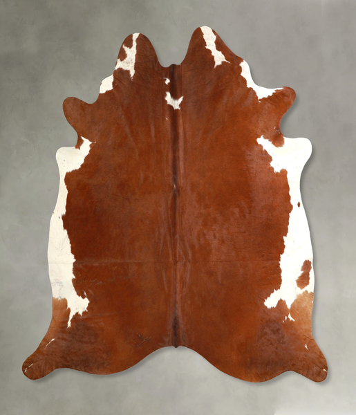 Brown and White Regular Cowhide Rug #A49759