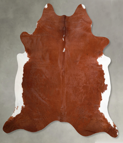 Brown and White Regular Cowhide Rug #A55707