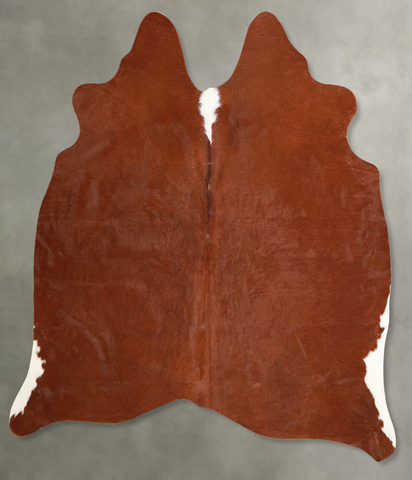 Brown and White Regular Cowhide Rug #A55868
