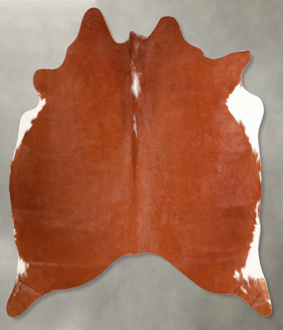 Brown and White Regular Cowhide Rug #A55986