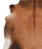 Brown with Red Cowhide Rug #A7004