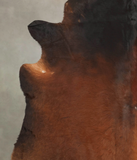 Brown with Red Cowhide Rug #B1034