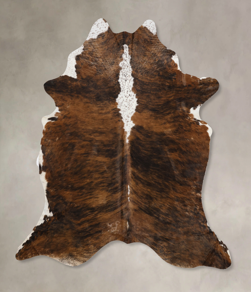 Tricolor Cowhide Rug #B10419