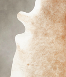 Caramel Cowhide Rug #B1054