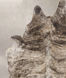 Light Brindle Cowhide Rug #B10843