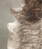 Light Brindle Cowhide Rug #B1117