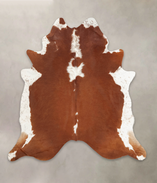 Brown and White Regular Cowhide Rug #B1131