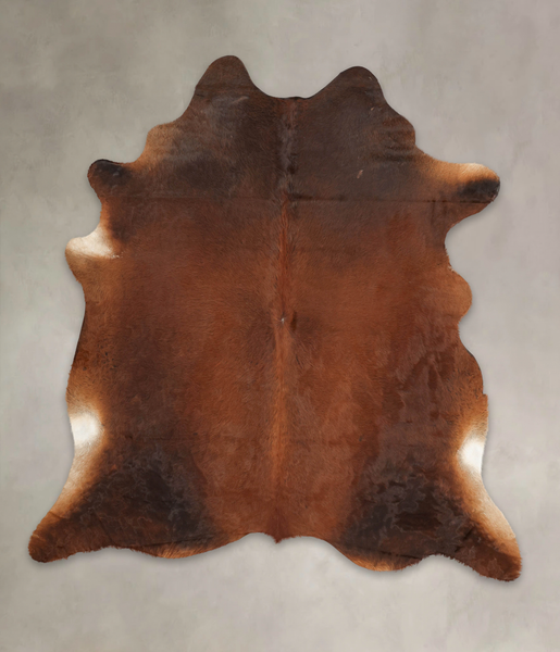 Brown with Red Cowhide Rug #B1155