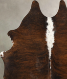 Tricolor Cowhide Rug #B11568
