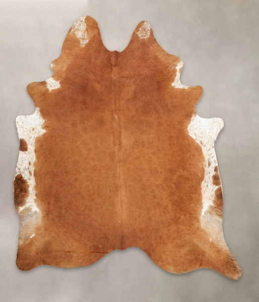 Brown and White Regular Cowhide Rug #B1179